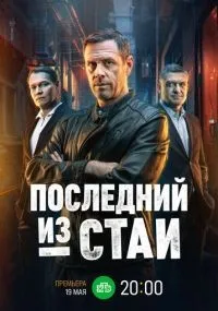 Последний из стаи 1-12 серии смотреть онлайн